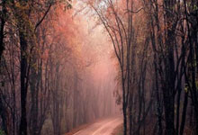 汉诺威主场战平，保持中游积分榜位置